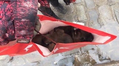 У центрі Одеси обвалився закинутий будинок. Місцеві кажуть, там жили безпритульні У центрі Одеси обвалився закинутий будинок. Місцеві кажуть, там жили безпритульні