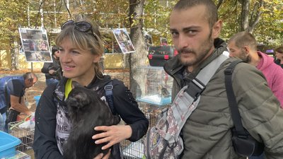 40 собак та котів знайшли новий дім. У Миколаєві відбулася чергова виставка-прилаштування