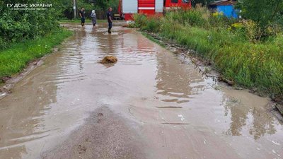 На Житомирщині через грозу рятувальники відкачували воду із приватних садиб На Житомирщині через грозу рятувальники відкачували воду із приватних садиб