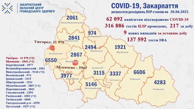 На Закарпатті за добу виявили 9 нових випадків COVID-19 На Закарпатті за добу виявили 9 нових випадків COVID-19