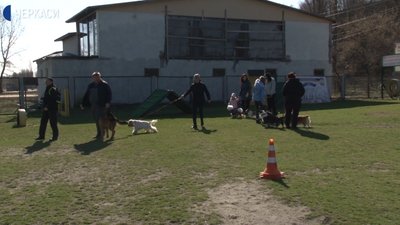 Черкаський клуб службового собаківництва підтримав людей із синдромом Дауна Черкаський клуб службового собаківництва підтримав людей із синдромом Дауна