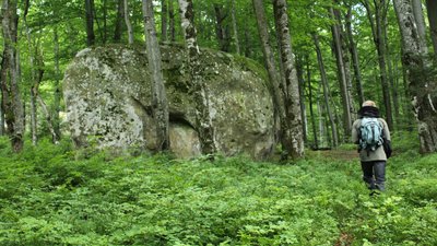 Добре, що я не браконьєр. Автор фото рисей розповів про своє хобі Добре, що я не браконьєр. Автор фото рисей розповів про своє хобі
