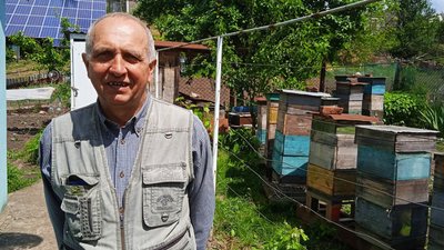 Кількість бджолиних сімей на Сумщині зменшується в межах 1-2% Кількість бджолиних сімей на Сумщині зменшується в межах 1-2%