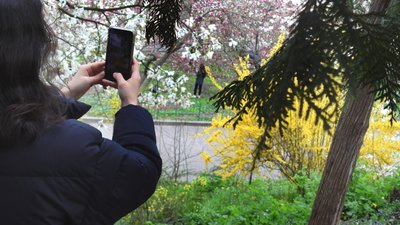 Спецслужби РФ використовували гру на телефоні для вербування українських дітей — СБУ