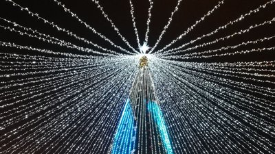 Скільки грошей треба на встановлення ялинки у Полтаві? Скільки грошей треба на встановлення ялинки у Полтаві?