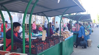 Здешевшала втричі: на рівненських ринках почали продавати черешню із Закарпаття Здешевшала втричі: на рівненських ринках почали продавати черешню із Закарпаття