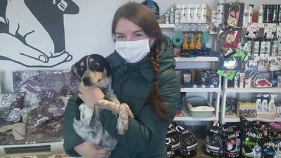 Рекордний 2020-ий. Прикарпатський притулок для тварин підсумував свою роботу Рекордний 2020-ий. Прикарпатський притулок для тварин підсумував свою роботу