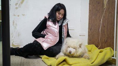 Злякалася вибухів: у собаки Снєжки стався інсульт після атаки РФ на Дніпро Злякалася вибухів: у собаки Снєжки стався інсульт після атаки РФ на Дніпро