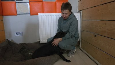 Що відомо про ймовірне отруєння собак в Івано-Франківську Що відомо про ймовірне отруєння собак в Івано-Франківську