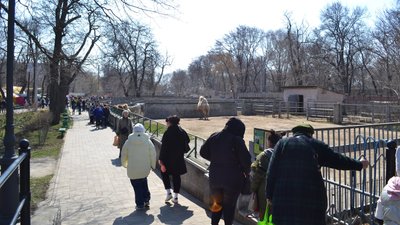 В Одесі відкрився зоопарк. ФОТО В Одесі відкрився зоопарк. ФОТО