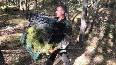 На Житомирщині лісівники затримали порушників, які поцупили 100 ящиків моху із "Камінного села"