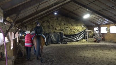 Іпотерапія для дітей: у Житомирі хочуть запровадити заняття для дітей-переселенців Іпотерапія для дітей: у Житомирі хочуть запровадити заняття для дітей-переселенців