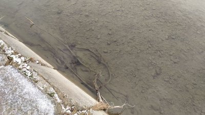 В Івано-Франківську до Водохреща водолази обстежили дно двох Бистриць В Івано-Франківську до Водохреща водолази обстежили дно двох Бистриць