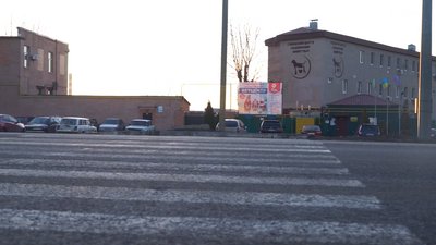 Аварійний перехід: біля Центру поводження з тваринами просять встановити світлофор Аварійний перехід: біля Центру поводження з тваринами просять встановити світлофор
