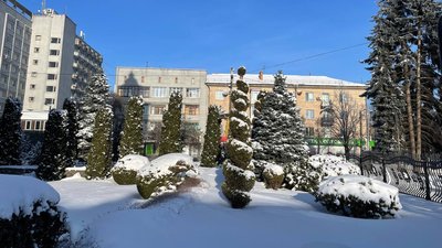 Житомир, погода, природа, січень 2026 року
