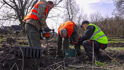 На Кіровоградщині навесні створять 87 гектарів нового лісу На Кіровоградщині навесні створять 87 гектарів нового лісу