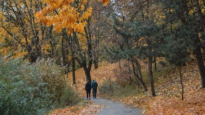 Погода у Черкасах 26-29 жовтня