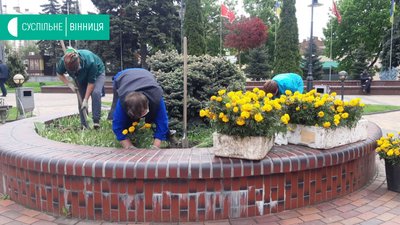 На вулицях та у паркових зонах Вінниці почали висаджувати квіти