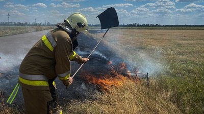 Рятувальник гасить пожежу сухостою