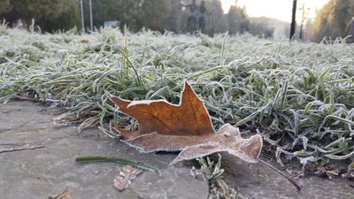 Погода 20 грудня.