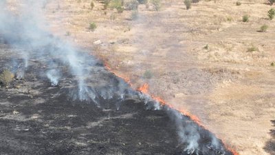 На Миколаївщині гасять пожежу. Горить суха трава та чагарники На Миколаївщині гасять пожежу. Горить суха трава та чагарники