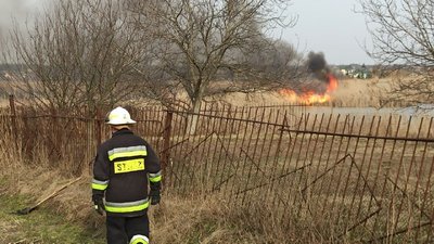 За день на Кіровоградщині вигоріло 12 гектарів землі внаслідок пожеж трави і очерету За день на Кіровоградщині вигоріло 12 гектарів землі внаслідок пожеж трави і очерету