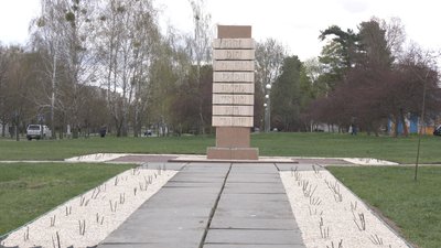 "Квітка відродження": у Славутичі висадили 200 кущів білих троянд в пам’ять про Прип’ять