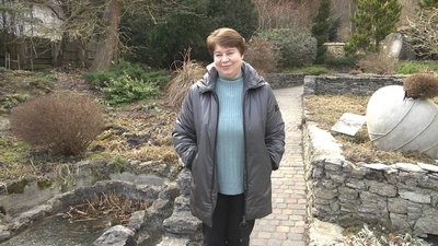"Глибина дуже велика": що кажуть жителі про провалля у лісі на Тернопільщині "Глибина дуже велика": що кажуть жителі про провалля у лісі на Тернопільщині