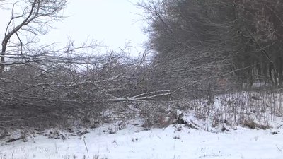 У громаді на Вінниччині економлять гроші за рахунок альтернативного палива У громаді на Вінниччині економлять гроші за рахунок альтернативного палива
