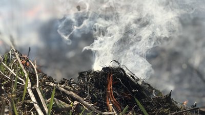 На Прикарпатті цієї доби горіли трава, дрова і господарська будівля На Прикарпатті цієї доби горіли трава, дрова і господарська будівля
