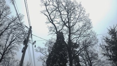 Лінії елекропередач