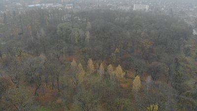 У Вінниці окреслюють межі Пʼятничанського парку У Вінниці окреслюють межі Пʼятничанського парку