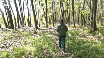 На Франківщині під час високої пожежної небезпеки в’їзди в ліси перекриватимуть шлагбаумами На Франківщині під час високої пожежної небезпеки в’їзди в ліси перекриватимуть шлагбаумами