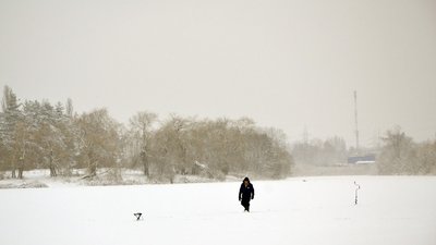 Район Олексіївського лугопарку у Харкові після нічного снігопаду, 12 грудня 2023 року 1 Район Олексіївського лугопарку у Харкові після нічного снігопаду, 12 грудня 2023 року 1