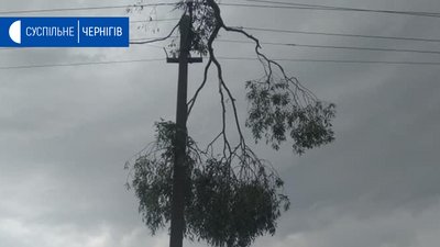 Негода на Чернігівщині: 20 сіл без світла, в Ковпиті вітер зривав дахи
