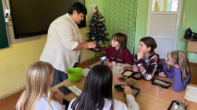 мікрозелень в укритті школи мікрозелень в укритті школи