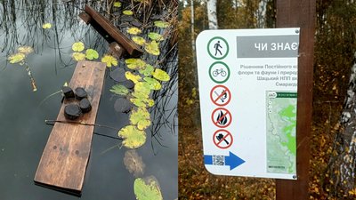 Вандалізм у нацпарку, Шацький нацпарк, озеро Великен Чорне, екостежка "Парк"