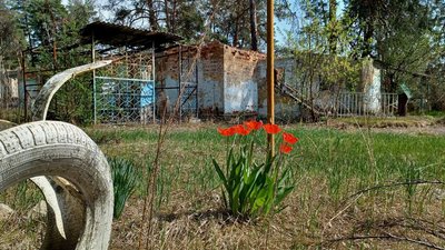 Донеччина, погода 20 квітня