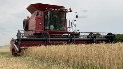 Жнива на Харківщині. Аграрії зібрали 37 тисяч тонн зерна за 10 днів Жнива на Харківщині. Аграрії зібрали 37 тисяч тонн зерна за 10 днів