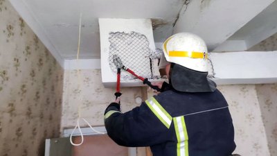 У Кам'янському надзвичайники врятували кота, який провалився у вентиляцію У Кам'янському надзвичайники врятували кота, який провалився у вентиляцію