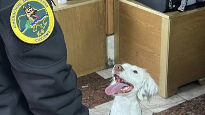 На Вінниччині в жінки виявили психоактивні препарати