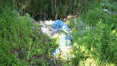 Не довозять до полігону: в Житомирі вздовж дороги утворилися стихійні сміттєзвалища Не довозять до полігону: в Житомирі вздовж дороги утворилися стихійні сміттєзвалища