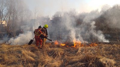Випалювання трави та очерету: на Полтавщині горіли 25 гектарів сухої рослинності Випалювання трави та очерету: на Полтавщині горіли 25 гектарів сухої рослинності