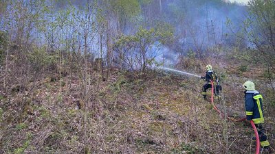 У Мукачівському районі горить близько 15 гектарів лісу
