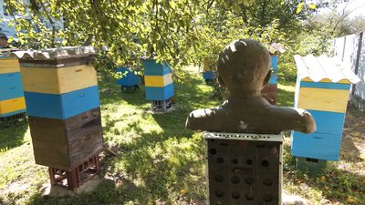 Демонтаж Ілліча: як це було на Рівненщині Демонтаж Ілліча: як це було на Рівненщині