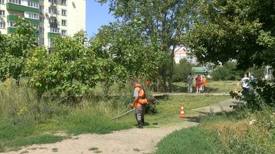 У Полтаві косять траву 13 комунальників У Полтаві косять траву 13 комунальників