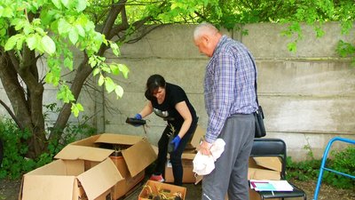 “Квітни. Допомагай. Перемагай!”: у Вінниці висадять майже десять тисяч троянд “Квітни. Допомагай. Перемагай!”: у Вінниці висадять майже десять тисяч троянд