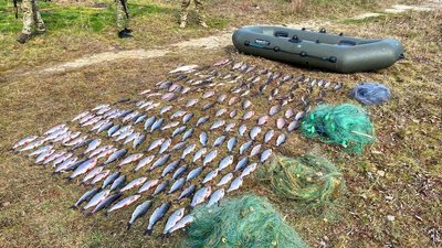 На Херсонщині браконьєри наловили риби на мільйон гривень На Херсонщині браконьєри наловили риби на мільйон гривень
