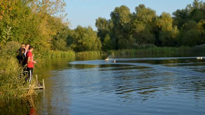 У Малині на Житомирщині влаштували перегони на радіокерованих моделях суден