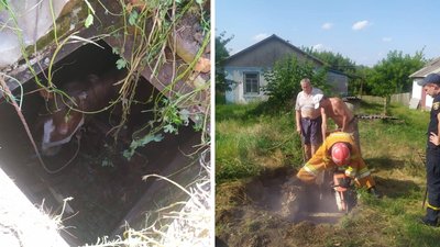 На Черкащині у яму впав кінь. Його врятували